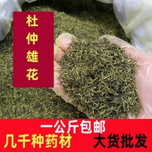 正宗野生杜仲雄花茶针形花粉多男性养生杜仲茶杜仲雄花药材