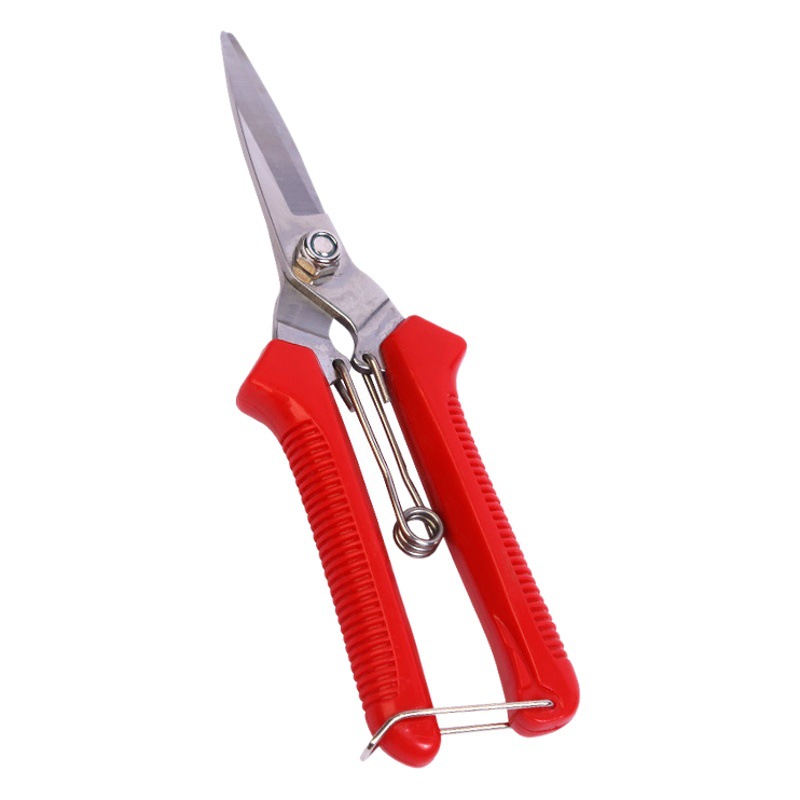 Gana grandes frutas recogiendo flores poda de uva poda de verduras y frutas bonsai poda vegetal tijeras de adelgazamiento de flores nácar naranja tijeras de recolección de frutas