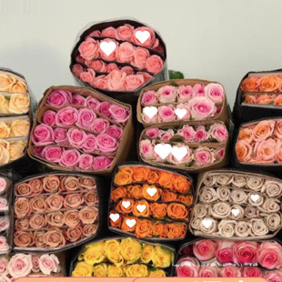 õ�廨�r�����������ֱ�l�ٺ����տ��t�������r��ˮ�B�彁��