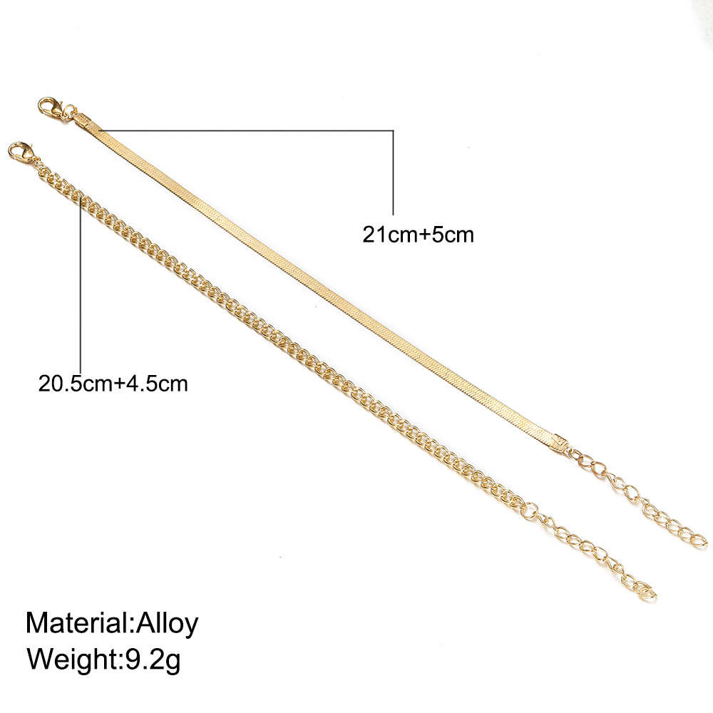 Simple Flat Snake Chain Alloy Anklet Set display picture 1