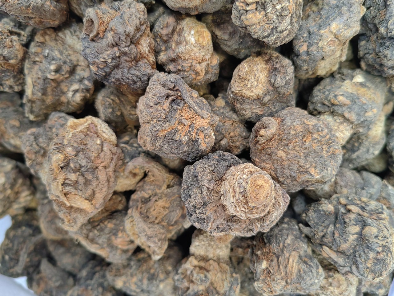 Maca Root (Lepidium meyenii) — Yunnan Black & Yellow Maca Slices, 500g Food Herb in use