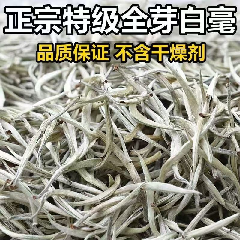 产地直邮2025年云南白茶景谷大白毫银针普洱白茶精品单芽月光白茶