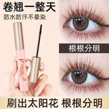 泰国VOODOO睫毛膏定型防水睫毛液根根分明持久纤长卷翘不晕染打底