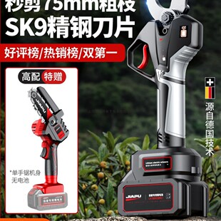 늄Ӽ������ʽ�����@�ֹ�����֦�������늼���֦늼��Ӽ�֦����