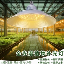 ȫ���Vֲ�����L��LED��ˮ��������߲����绨��led�����a����ɫ��