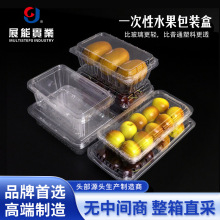 Multisteps一次性水果盒透明长形盒食品级pet带盖加厚车厘子黑莓
