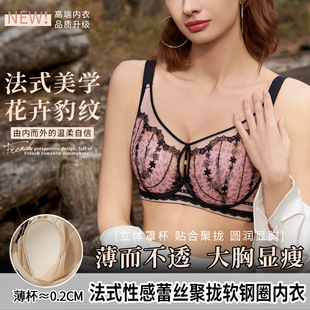 F3316�Ըб��y��͸�ٽz�����@С�{���Ը��ո����a�����������b