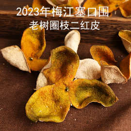 2023年梅江塞口围微红新皮老树茶枝柑陈皮干日晒干仓花香新会陈皮