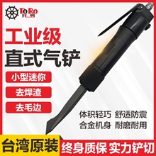 ����̨��ֱʽ�����綯���乤ҵ���������߳���������CZ2������