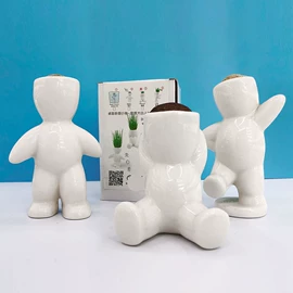 植物工艺品;栽培基质;陶瓷工艺品