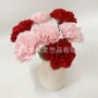 永生母亲节巨型康乃馨肥皂花