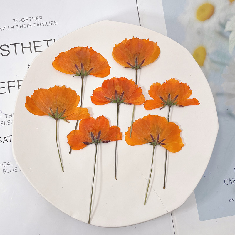 微信图片_20220919171225