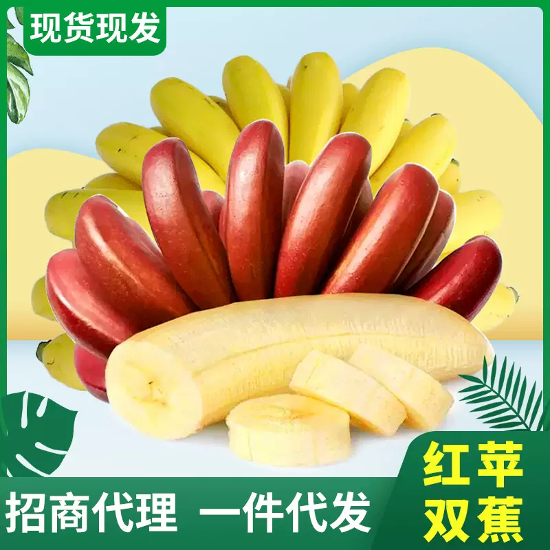 福建漳州双蕉组合红香蕉+苹果蕉新鲜水果现摘5斤装现货厂家批发
