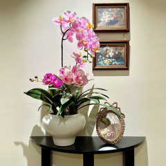 海虹景品胡蝶蘭シミュレーション花湿感高品質盆栽装飾偽花芸置物客間軽豪華高級