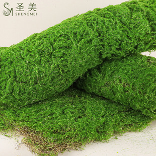 Simulation green moss turf simulation lawn plant landscape green plant scene window display bonsai fake Moss