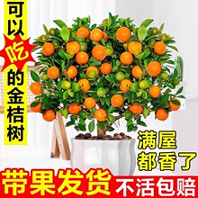 �ļ���ۘ������Ԏ���ֲ���҃Ⱥ��B���ܿ͏d����С���Ә���ؔ�辰