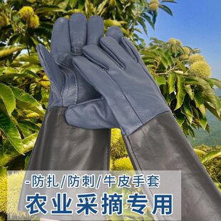 �@�ַ�������ţƤ�Ӻ��L���޼��¼�����ժ�����������÷���늺���