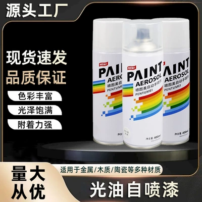 400ml Varnish Self-Painting Hand-Operated Automatic Car Metal Anti-Rust Wall Furniture Wood Waterproof Repair Paint