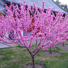 һ�����l�����ͺ����~÷�t÷�G÷�D÷�Ϙ��辰÷�����҃��̨����