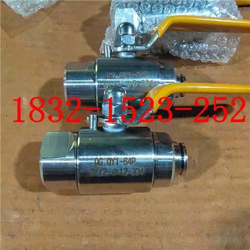 304不锈钢内螺纹直通插入式快插压力表气源球阀M20*1.5-Ф6 8 10