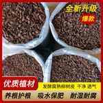 柳树皮发酵腐熟君子蝴蝶兰花兰科铁皮石斛植料室内盆栽花卉肥有机