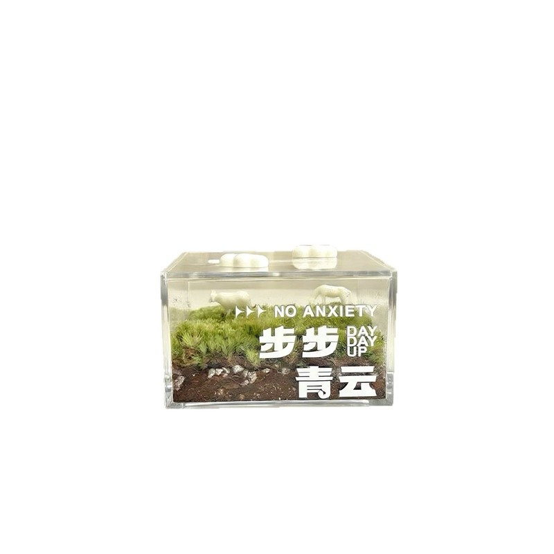 步步青云苔藓微景观一片草坪迷你绿植生态瓶解压ins治愈桌面摆件|undefined