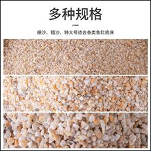 鱼缸底沙水晶砂天然河沙造景乌龟装饰细沙粗河沙寄居蟹沙子铺底石