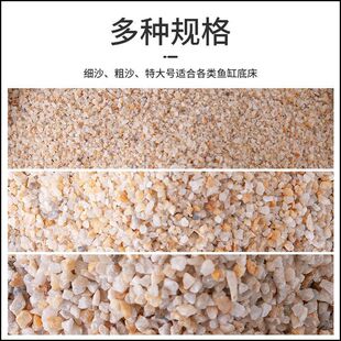 �~�׵�ɳˮ��ɰ��Ȼ��ɳ�쾰�����b�ɳ�ֺ�ɳ�ľ�зɳ��䁵�ʯ