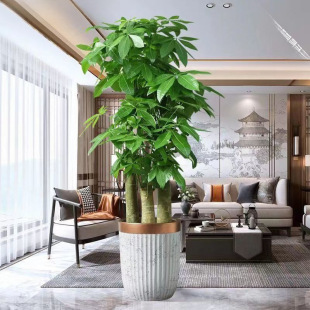 �Gֲ�����Կ͏d�����߰lؔ�����Uԭ�����͆��w�¾��k�����_�I�ͶY