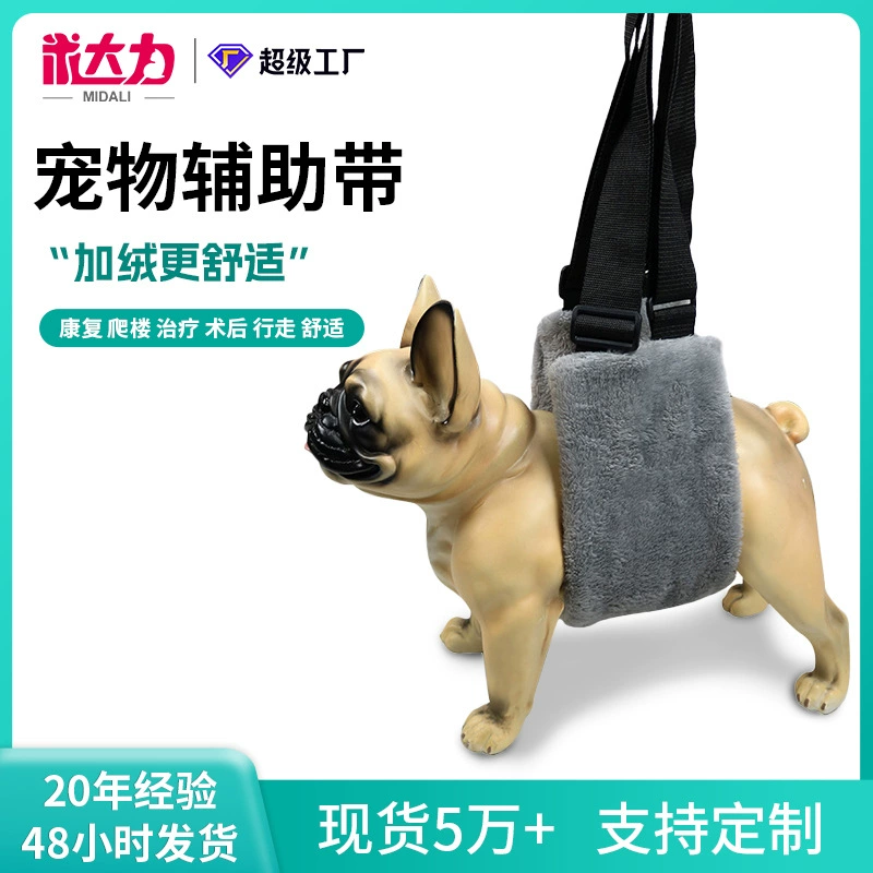 Домашние животные Пожилые собаки помогают с инвалидностью