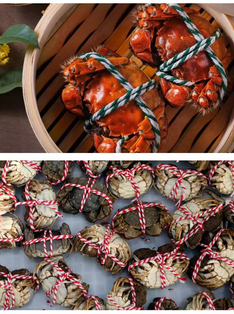 f135e56bba73206291d17cfd49dfe4