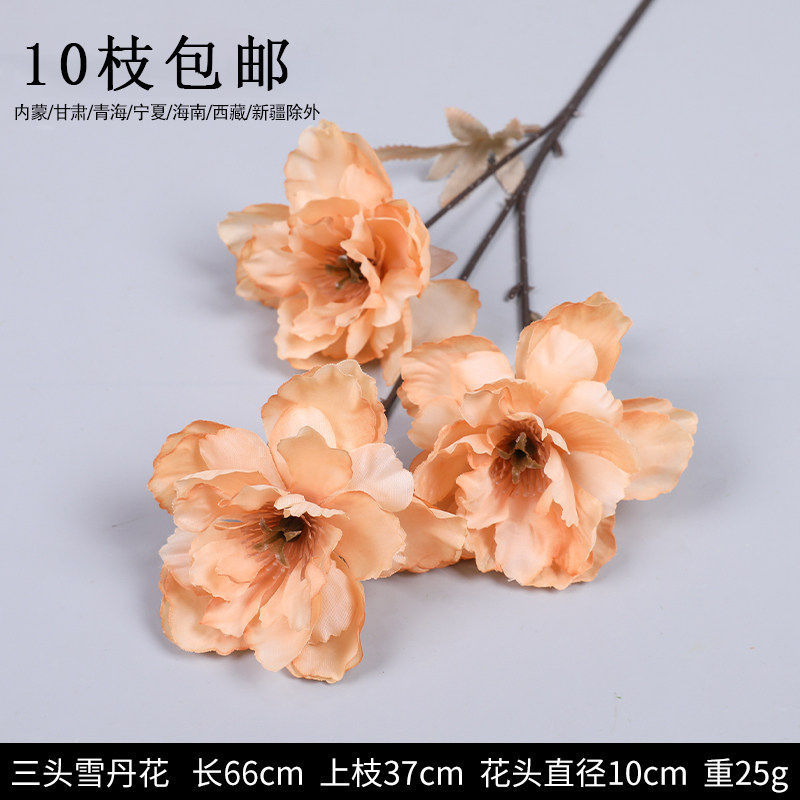 3头雪丹花