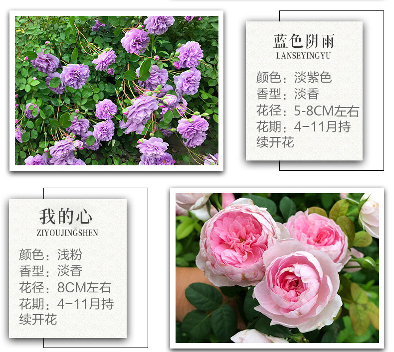/O1CN01zxFDS51yF2U4k6eHO_!!2219512176548-0-cib.jpg