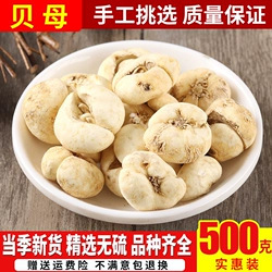 ��ș�� ��ؐĸ ��ؐ ��ؐĸ��Ұ�� ��ؐ 500�� ���]