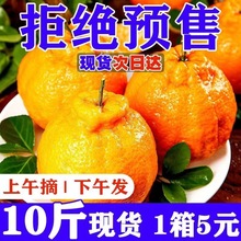 2022四川丑橘粑粑柑不知火    预售