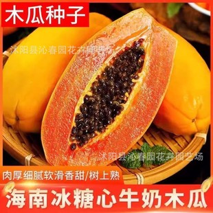 ����ľ�ϷN�ӱ�Ƥ������ţ��ľ�����̨ͥԺ�����ļ�ˮ���N�Ӵ�ȫ