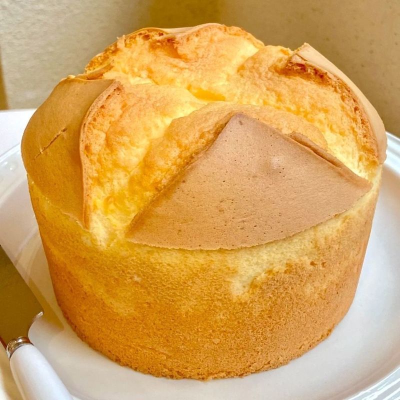 现烤现发戚风蛋糕胚亲子即食半成品DIY烘焙生日蛋糕新鲜生日商用|undefined