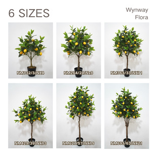 RduSl晎ʘپGֲԼ٘҃왎ʘ