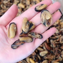 ��̖���˸ɜ����خa500g�Ҝ������Oؐ��ں��r��؛�ؼ�