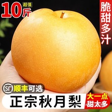 ɽ�|���������r����10�ﮔ���Fժ�Rꖱ�����ѩ������ˮ�����]