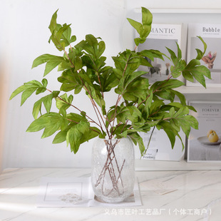 �����~����Gֲ�~�ӻ�c���~��Y�õ����쾰�·���~���b[��
