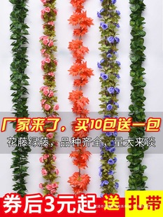 �ٗl�b������~�ٻ��G�~�����ܵ��ړ��������ֲ�ﻨ�p�@����