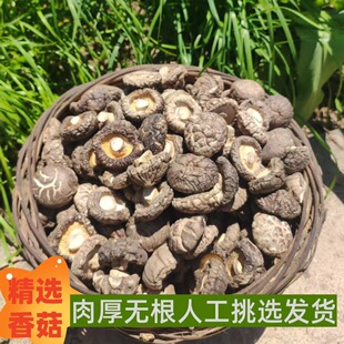 ��؛�㹽��؛�����r�Һ�����_�㹽��Ģ��С���X���ľ���㹽