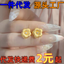 ���ͬ��ɳ������zС�𻨽�ָ�c荽�ɫ�����朶�������˹��Y��