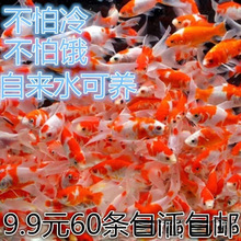 С�͵�ˮ�^�p�~�ͻ���B��ˮ�ݽ��~�^�p�~���~���~��С�~�t���\��