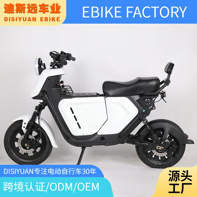 16inch Electric Bicycle City Road Scooter Small Ub Electric Bike for Adults Factory Export Only