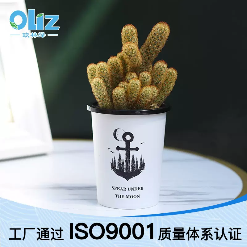自吸水棉绳盆源头产家跨境批发文花叶北欧风多肉盆创花盆