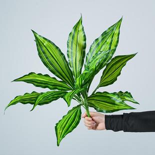 ����ľ�B��ާ�f�����f���p����Gֲ15�~����ܛ�b�쾰�Ҿ��b�����