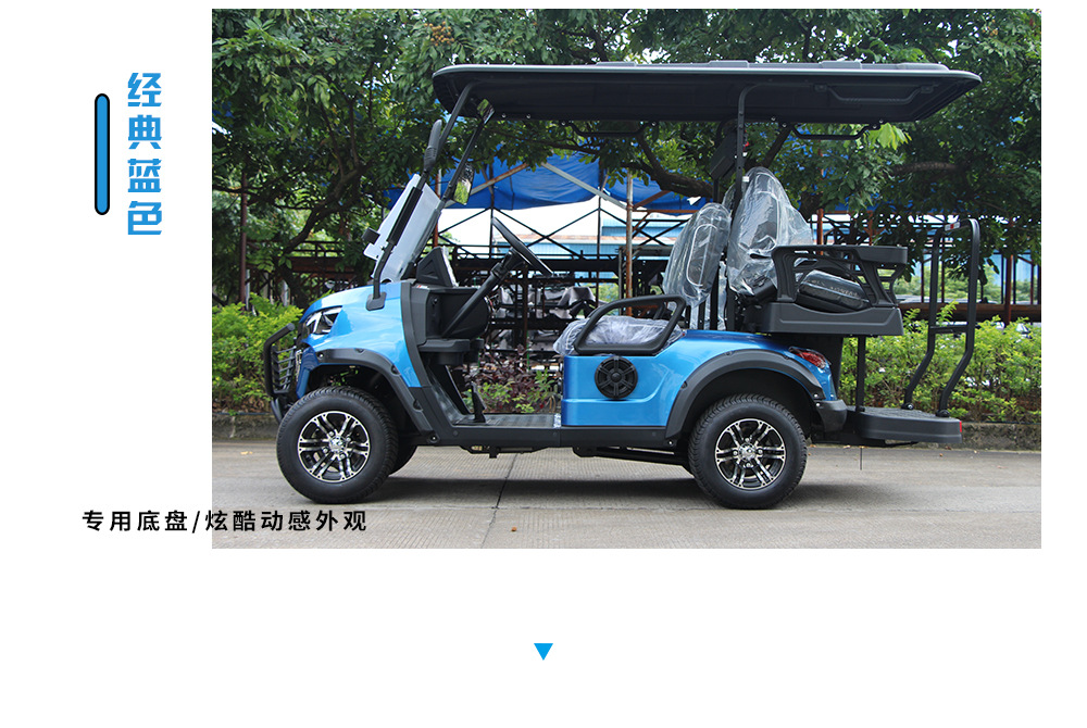 Langqing Electric Golf Cart with Solar Canopy Golf Cart Export Left and Right Steering Wheel Golf Cart Source Manufacturer