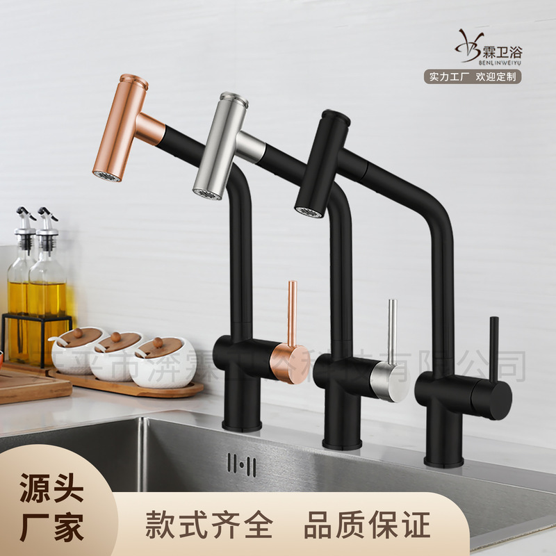 Cross-Border Stainless Steel Pull-Out Kitchen Faucet Rotating Pull-Out Kitchen Faucet Foreign Trade Hot and Cold Faucet